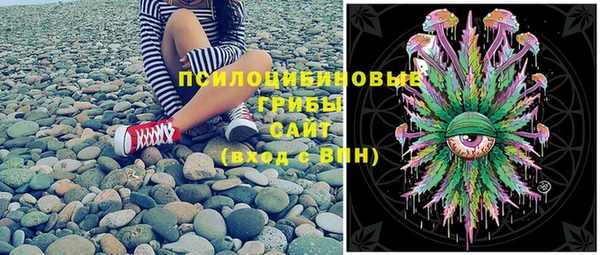 a pvp Козельск